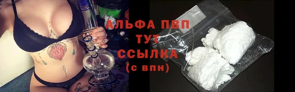 твердый Богородск