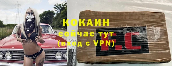 mix Бородино