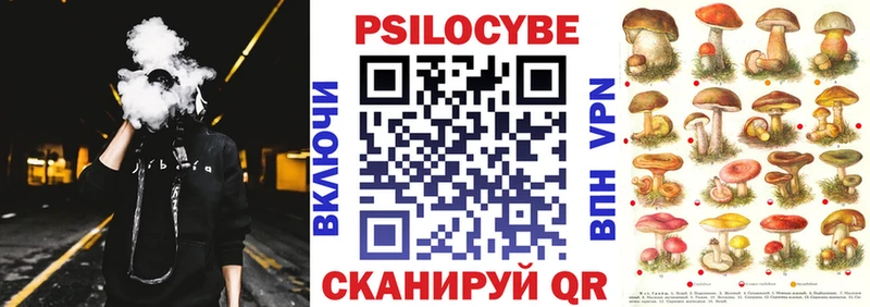 hydra ссылки  Мценск  Галлюциногенные грибы мицелий 